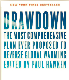 Picture of Drawdown book cover.